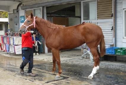 ��ĳ�� ����