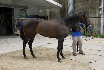 Ŭ�����۽�Ʈ (CLEAR FIRST) ����