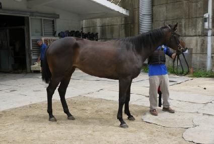 Ŭ�����۽�Ʈ ����