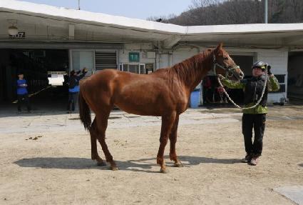 �����뱹 ����