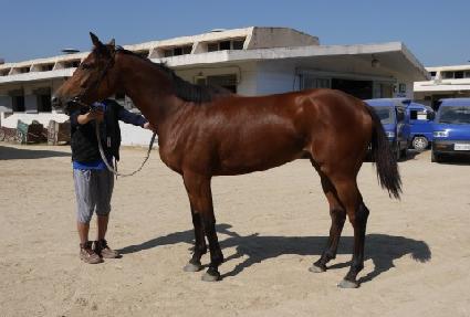 ���Ŀ� ����