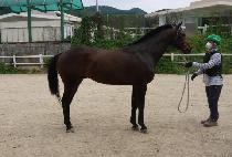 �������̿� (EVER A ONE) ����