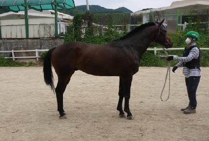 �������̿� ����