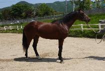 ������� (JISANG BIHAENG) ����