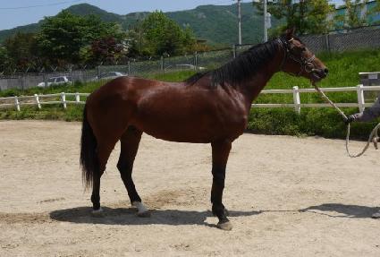 ������� ����