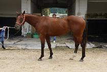 �޲ٴ´�� (KKUMKKUNEUN DAERO) ����