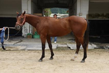 �޲ٴ´�� ����