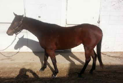 ��ġ�Ӵ� ����