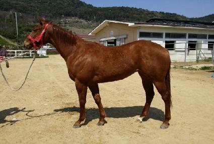 ��ƿ������� ����