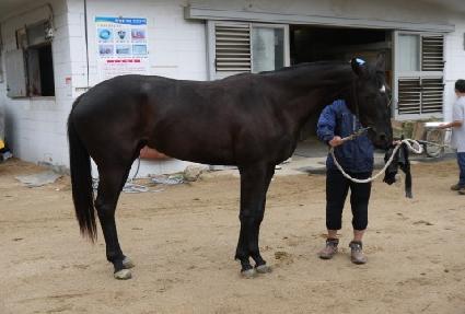 �Ƹ�������ī ����