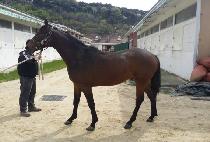 ���ǿ��� (HAPPY WHY) ����