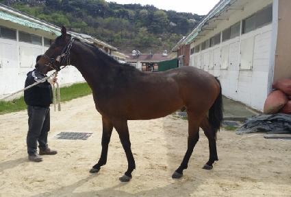 ���ǿ��� ����