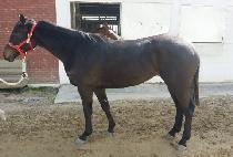 �帲��ŸƮ (DREAM START) ����