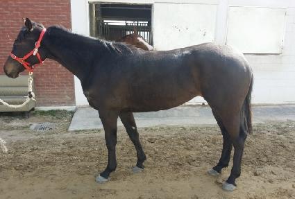 �帲��ŸƮ ����