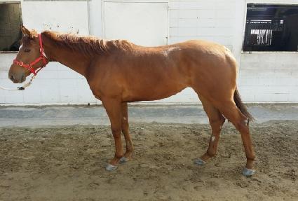 ����Ÿ�̰� ����