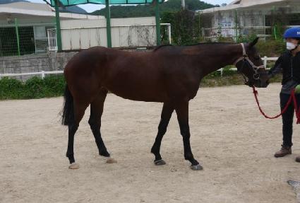 �����Ǻ� ����