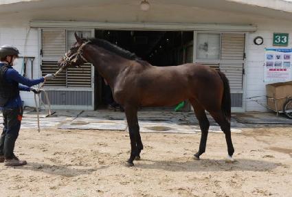 ġ�쿩�� ����