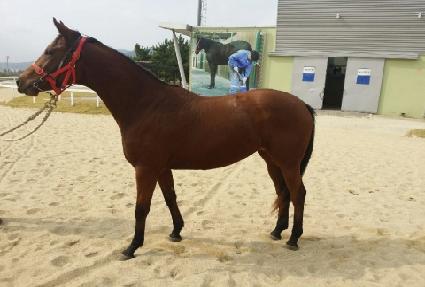 Ʈ�������� ����