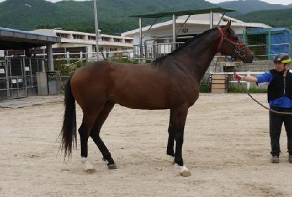 ������ ����