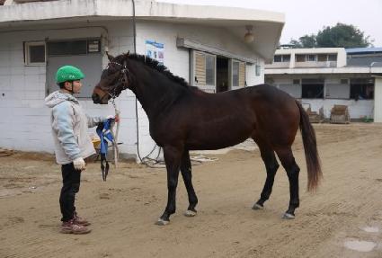 ĳ�Ǹ��� ����