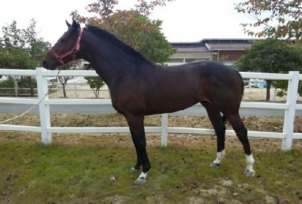 �̽��ͽ��ҵ� ����