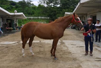 �����ǵ� ����