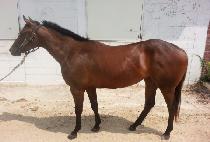 ��Ƽ���� (PARTY CONCEP) ����