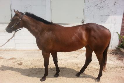 ��Ƽ���� ����