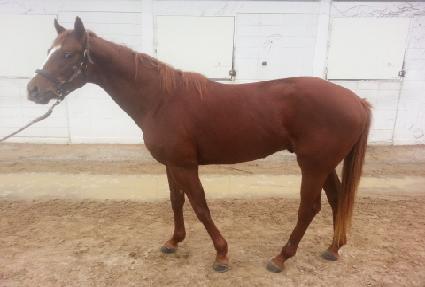 ĳ�Ƿ� ����