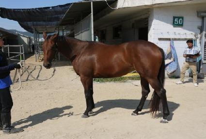 ü����Ŀ ����