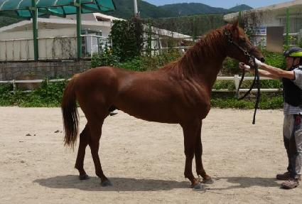 �������� ����