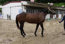 ������ (BOM DONG I) ����