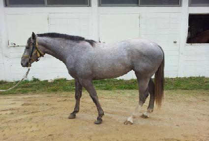 ȭ��Ʈ���� ����