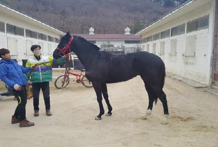 �Ծȿ����� ����