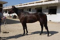 ������� (SARYEONI WIN) ����