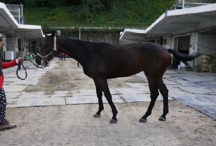 �Ƹ������� ����