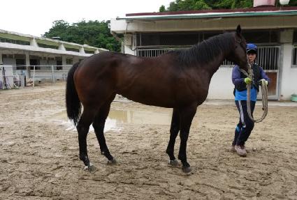 ���帮��Ʈ ����