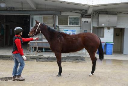 �������� ����