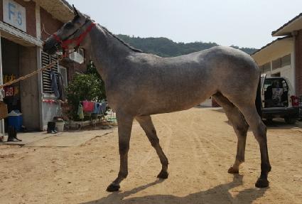 ��Ÿ���� ����