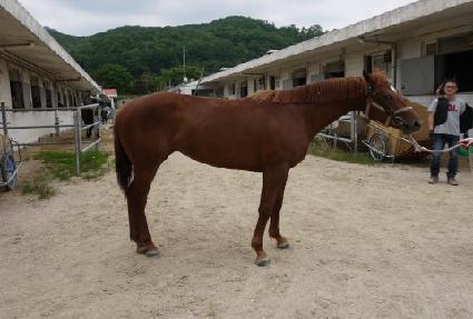 �뺸�� ����