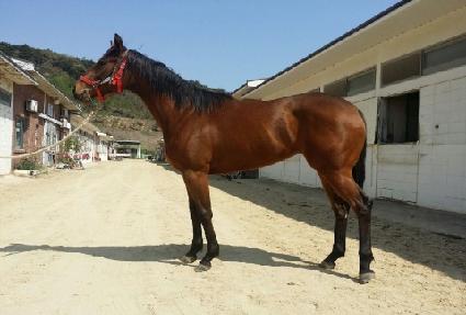 ��ǳ��ȭ ����