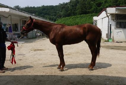 ����ĸƾ ����