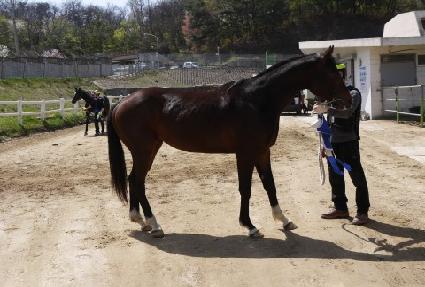 ���ʽ��۷θ� ����