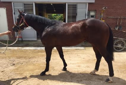 ��ġ ����