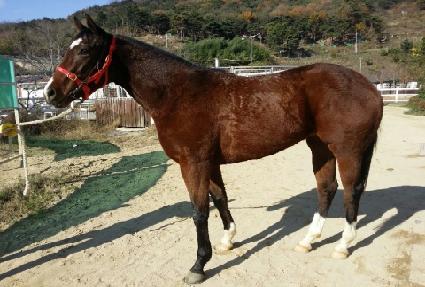 ������� ����