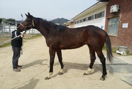 ��������ũ ����