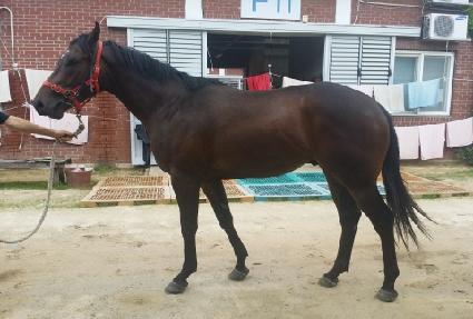 �����Ǿ���� ����