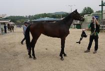 �����Ǹ��� (JEONSEOLUI MANYEO) ����