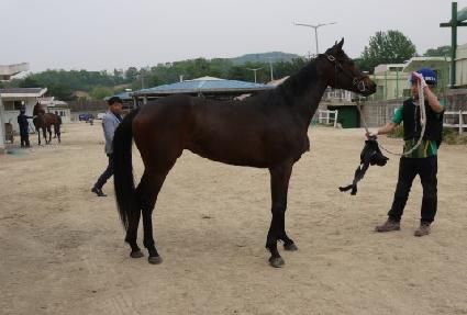 �����Ǹ��� ����