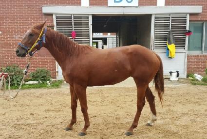 ���� ����